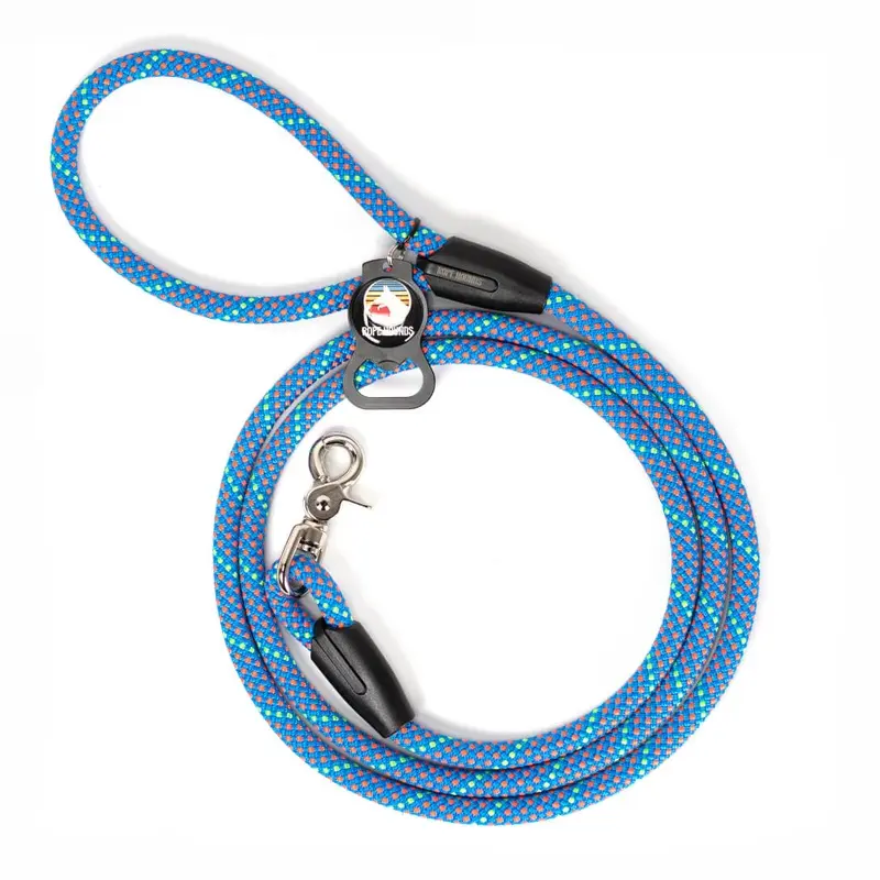 Classic Dog Leash in Taffy Blue (Made in the USA)