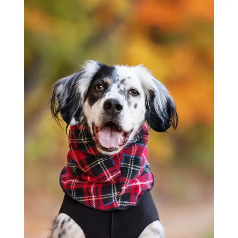 Fleece Dog Snood in Tartan Plaid (FINAL SALE) (FW24LO)