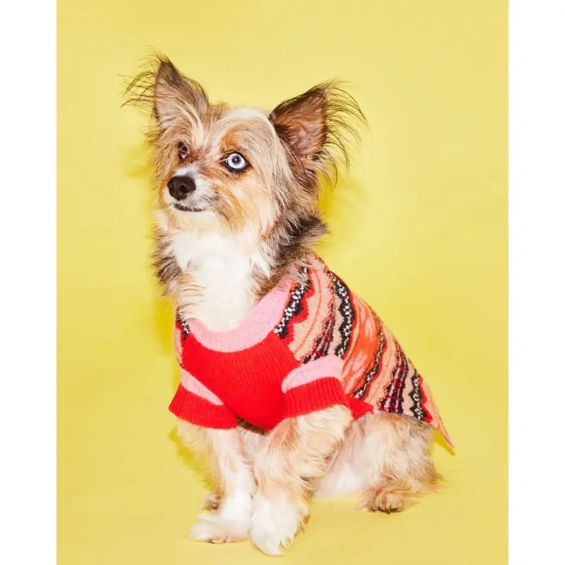 Merino Wool Fairisle Floral Dog Sweater (FINAL SALE)