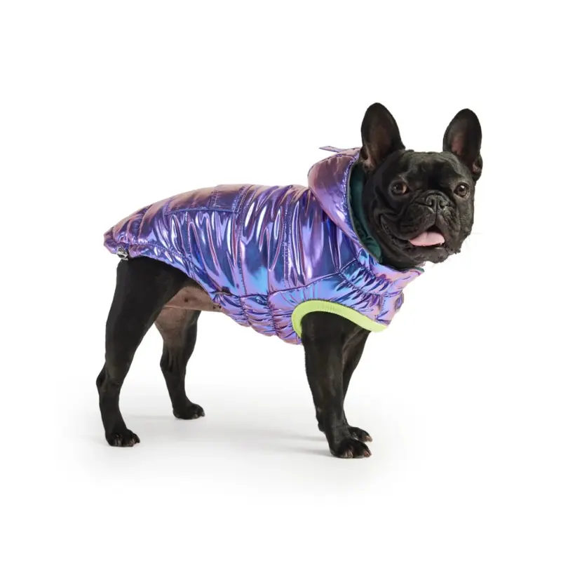 Recycled Arctic Dog Parka in Iridescent (FINAL SALE) (FW24LO)