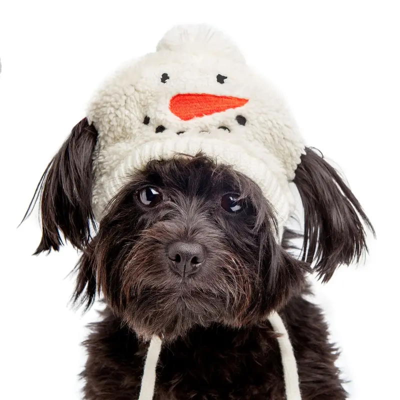 Silly Snowman Tie-On Dog Hat