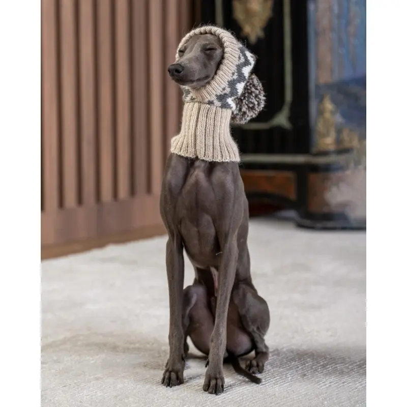 Wooly Winter Alpaca Dog Hat (FINAL SALE) (FW24LO)