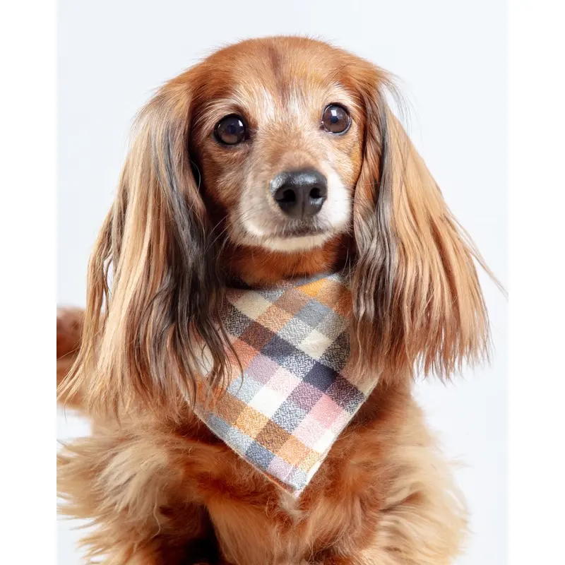 Aspen Flannel Dog Bandana (Made in the USA)