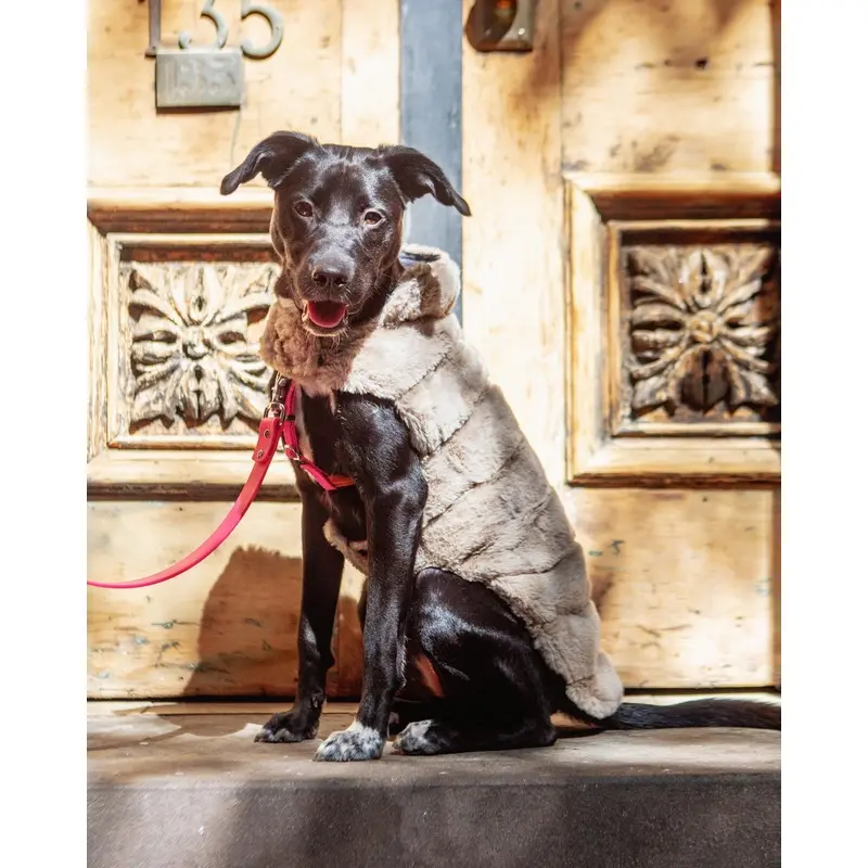 Faux Fur Dog Coat in Beige
