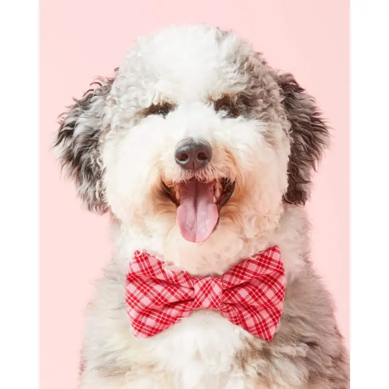 HTH x TFD Katherine Dog Bow Tie (Made in the USA) (FINAL SALE)