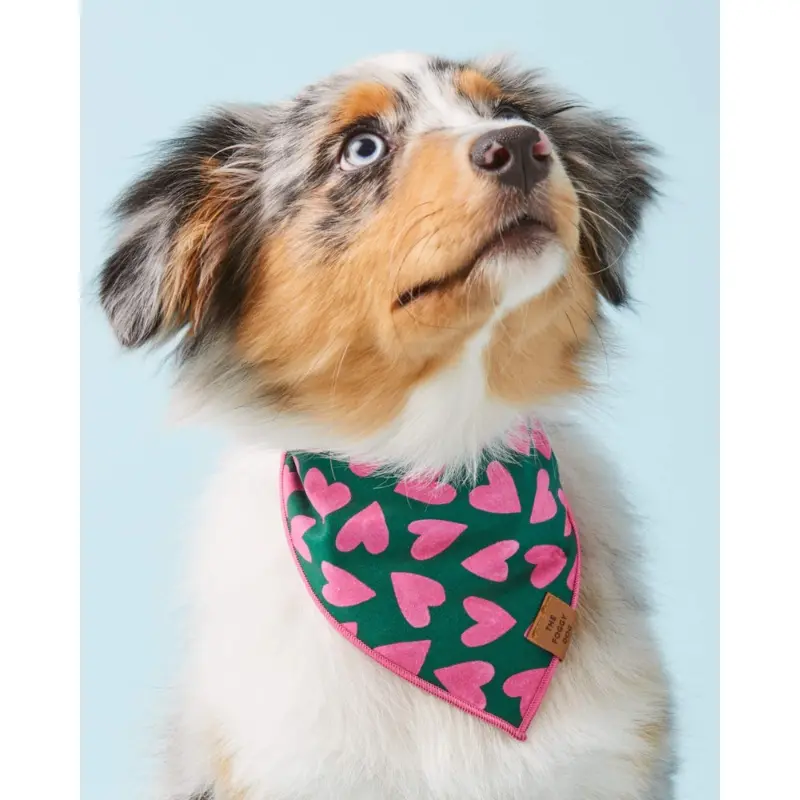 Lovestruck Dog Bandana (Made in the USA)