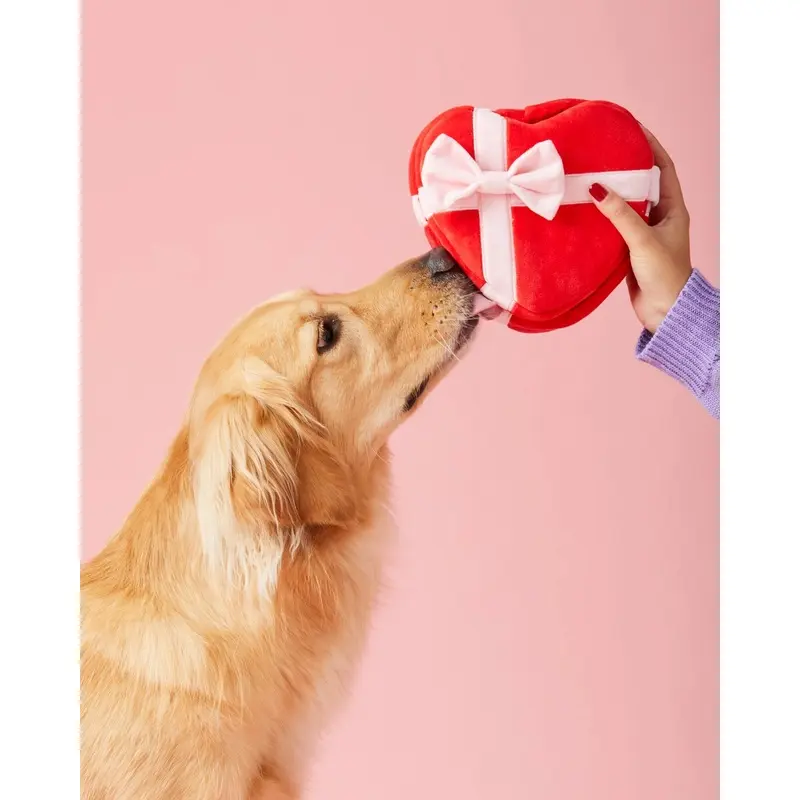 My Sweetest Heart Snuffle Dog Toy