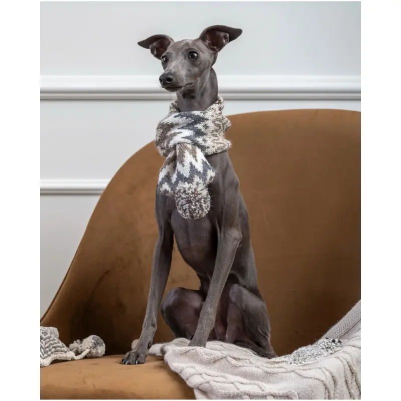 Wooly Winter Alpaca Dog Scarf (FINAL SALE) (FW24LO)