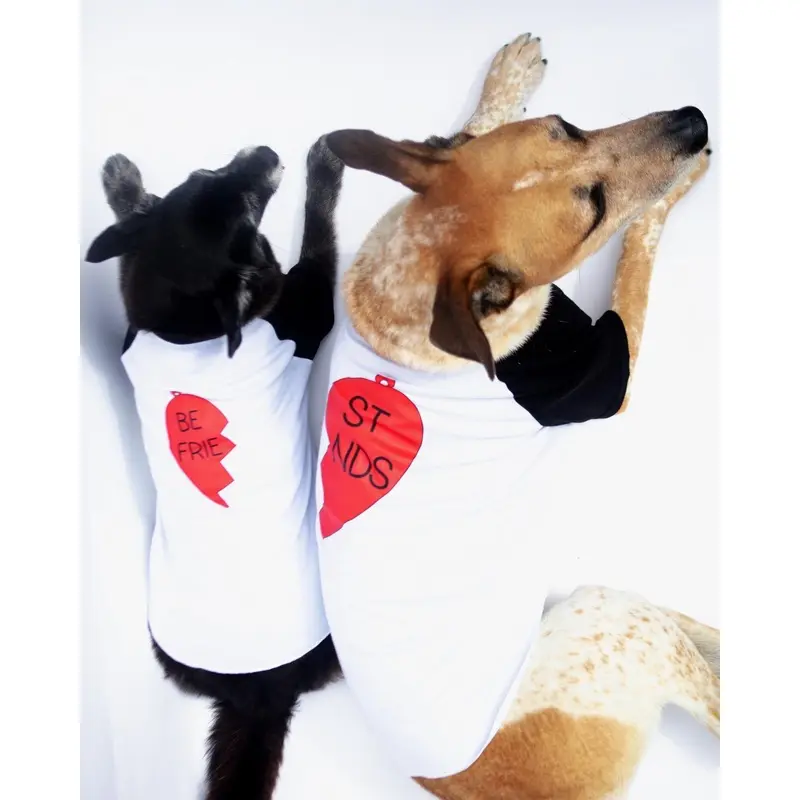 *Best Friends* Graphic Dog T-Shirt Set