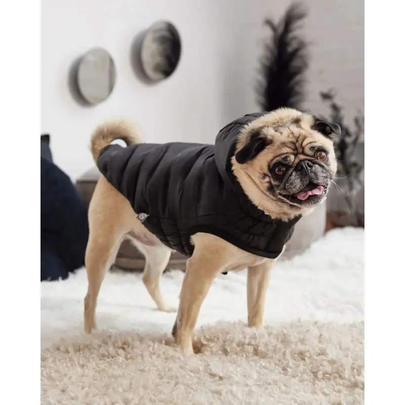 Cloud Puffer Parka for Dogs in Black