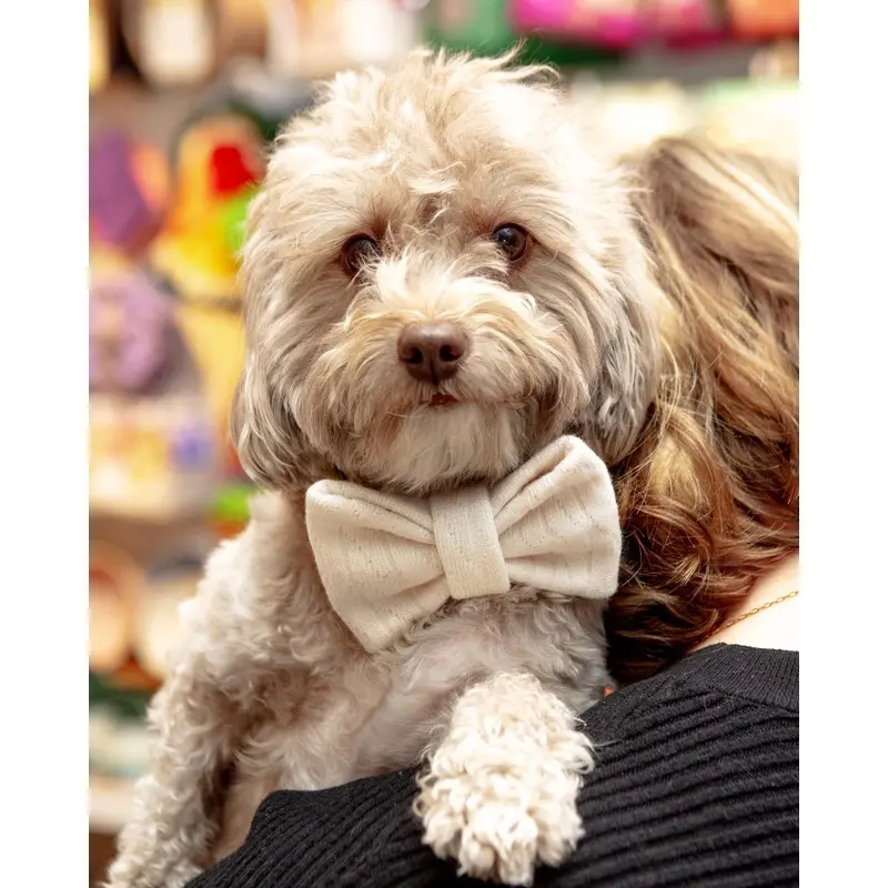 Cream Dog Bow-Tie (FW24LO)