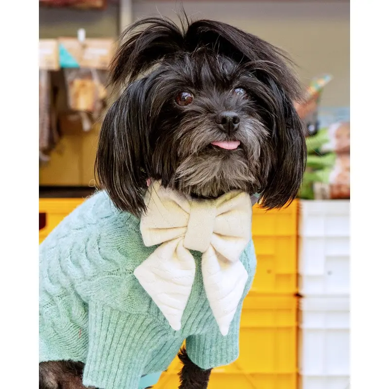 Cream Dog Sailor Bow-Tie (FW24LO)