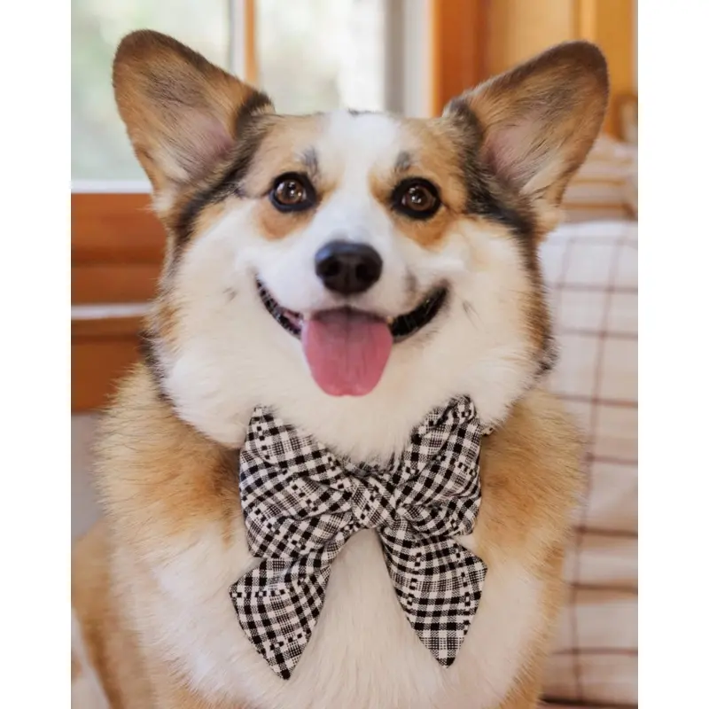 HTH X TFD Soho Black Lady Dog Bow (FINAL SALE)