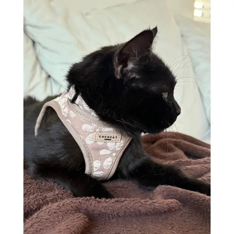 Mocha Flower Padded Cat Harness FINAL SALE