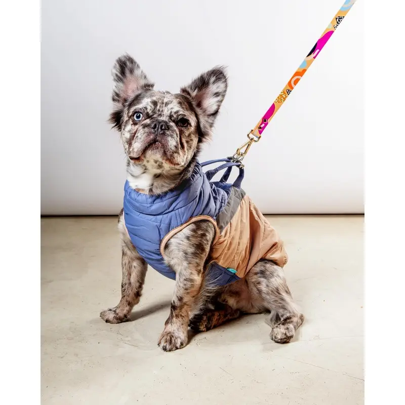 Mountaineer Waterproof Dog Harness Jacket in Tan & Moonstone Blue