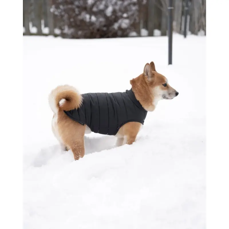Reversible Puffer Dog Jacket in Black