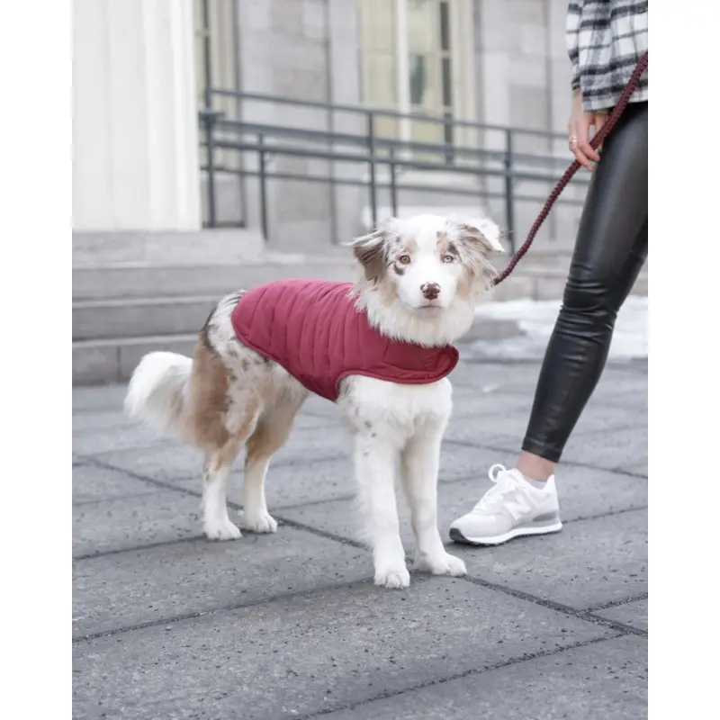 Reversible Puffer Dog Jacket in Burgundy