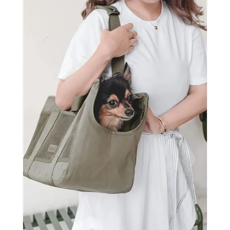 Subway Pet Carrier in Fern