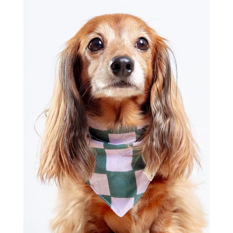 Brooklyn Checkered Dog Bandana (FINAL SALE)