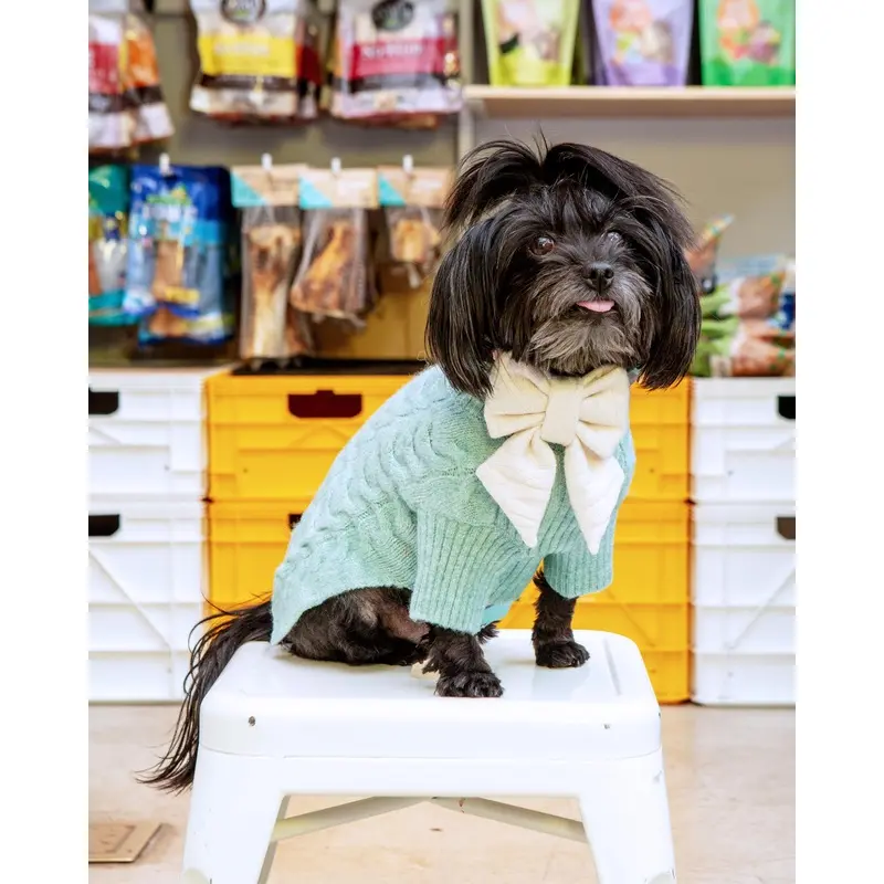 Fuzzy Knit Dog Turtleneck Sweater in Soft Mint (FINAL SALE)