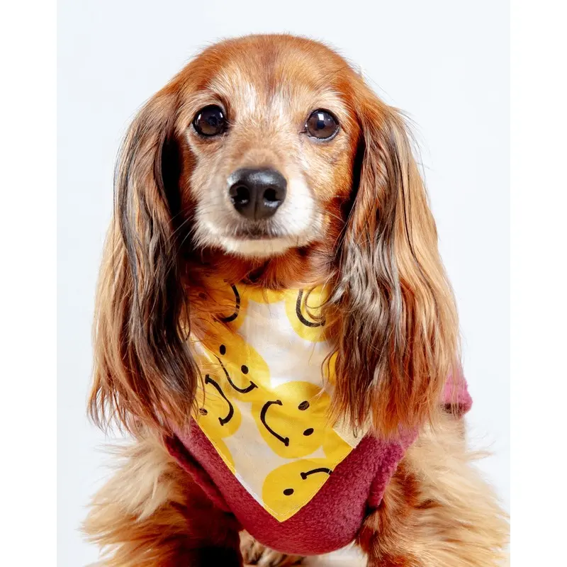 Smile Dog Bandana