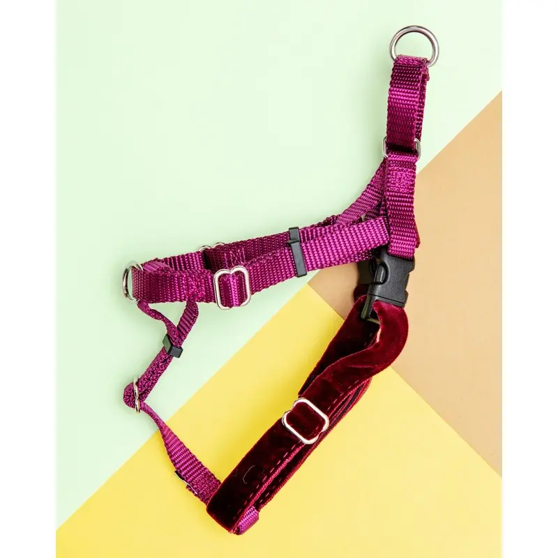 Freedom No-Pull Harness in Burgundy (Made in the USA)