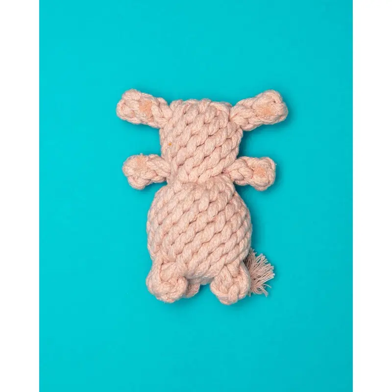 Sweetheart Bear Rope Dog Toy