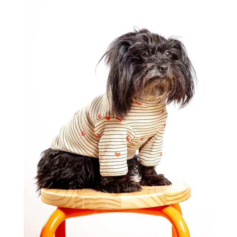 Aveline Striped Heart Dog Pullover