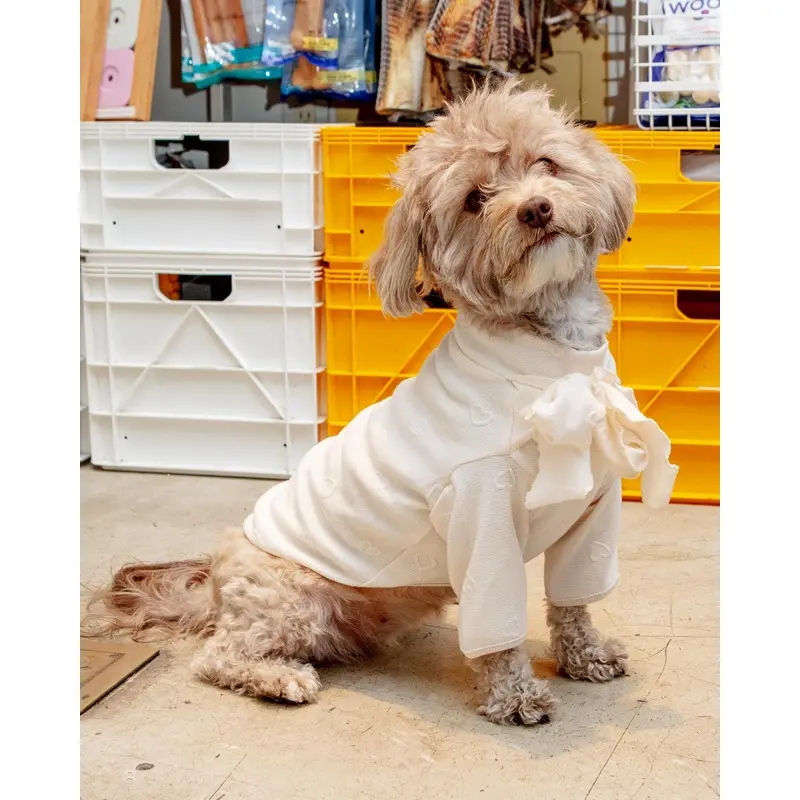 Beatrice Lady Bow Long-Sleeve Dog Shirt (FINAL SALE)