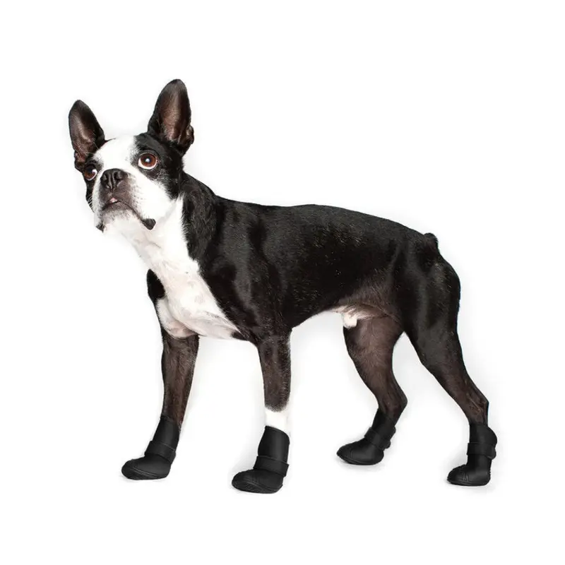 CANADA POOCH | Wellies Boots