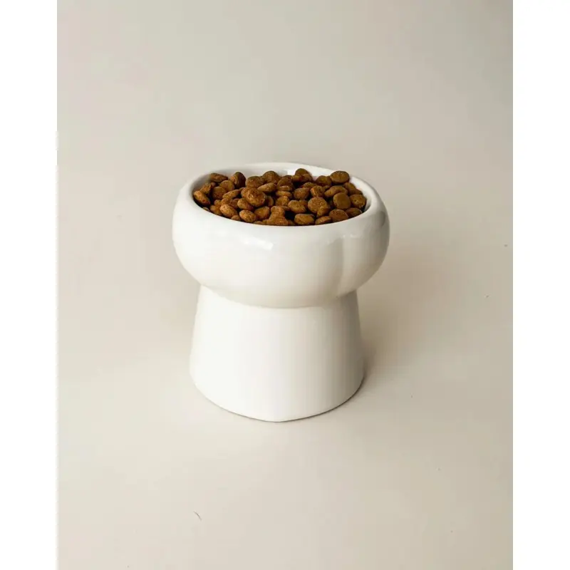 Elevated Pet Food Bowl in Creamy Beige