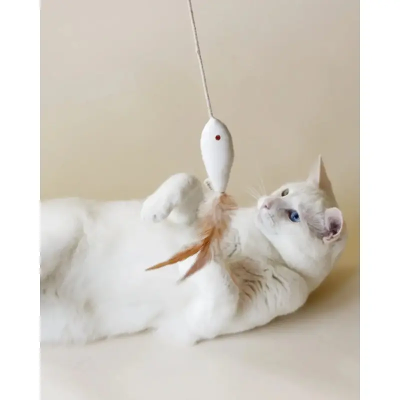 Golden Fish Catnip Toy