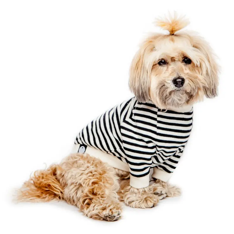 DOG & CO. | Cheeky Stripe Pullover in Black & White