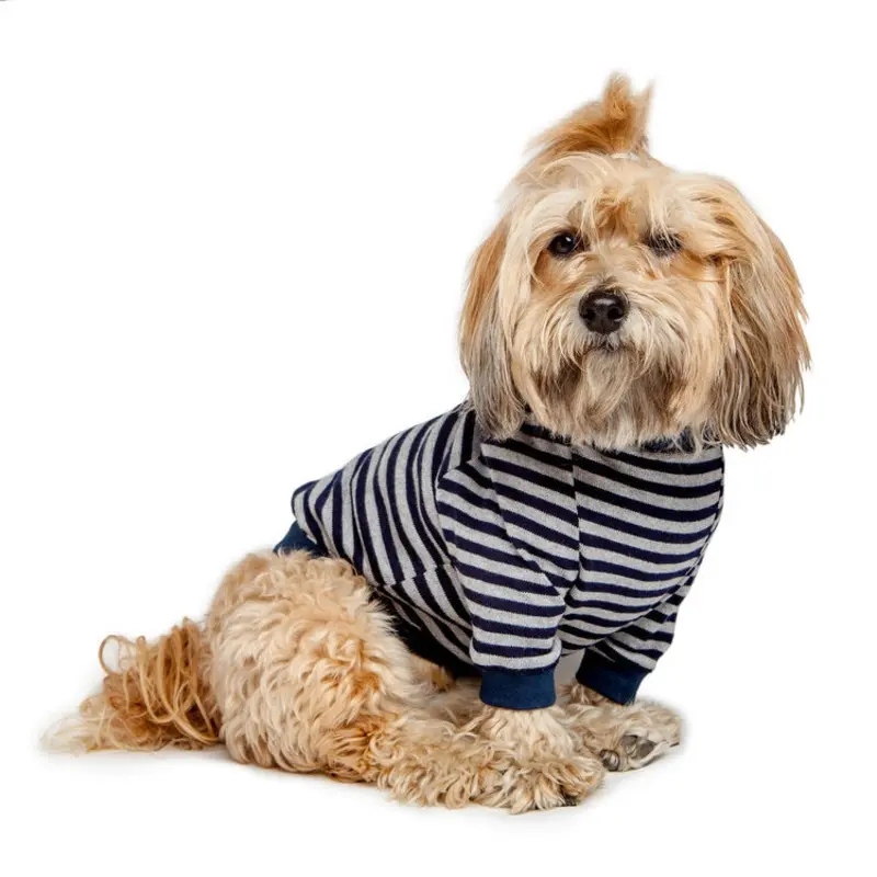 DOG & CO. | Cheeky Stripe Pullover in Grey & Navy (BIG DOG SALE)