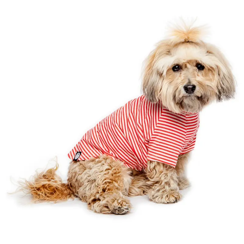 DOG & CO. | Perfect T in Red & White Stripe