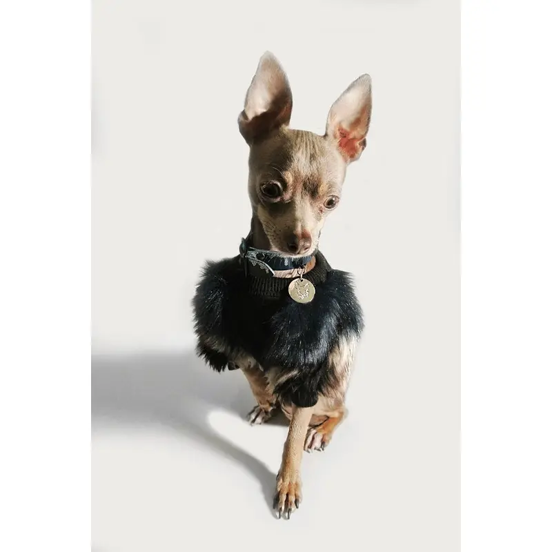 EYE OF DOG | Fluffy Pullover