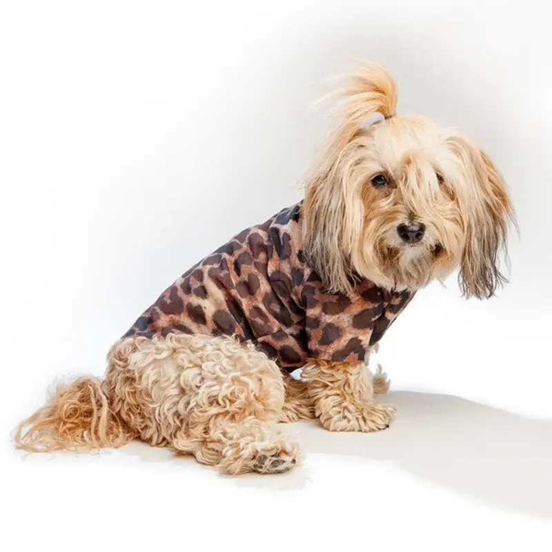 EYE OF DOG | Roaw Top in Leopard