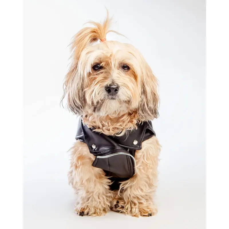 Vegan Leather Moto Vest for Dogs