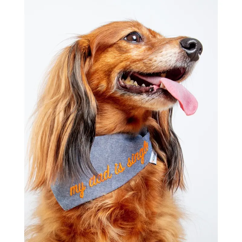 My Dad is Single Chambray Bandana (Made in the USA)