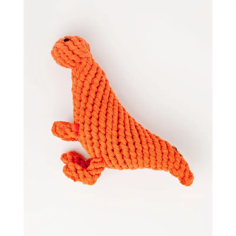 T Rex Rope Toy (FINAL SALE)
