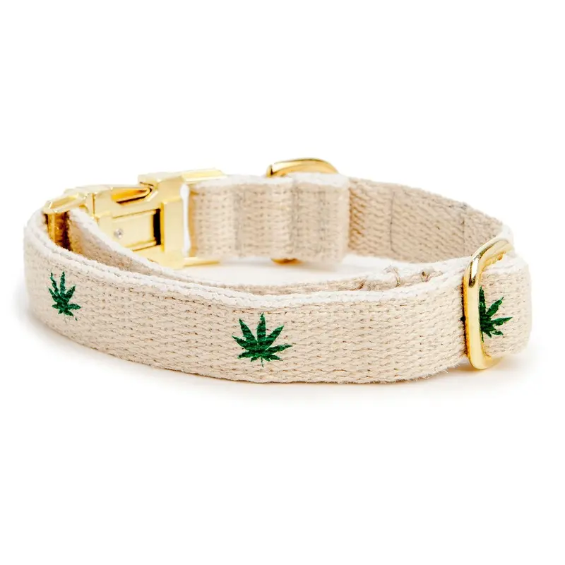 SHED | Pot Collar