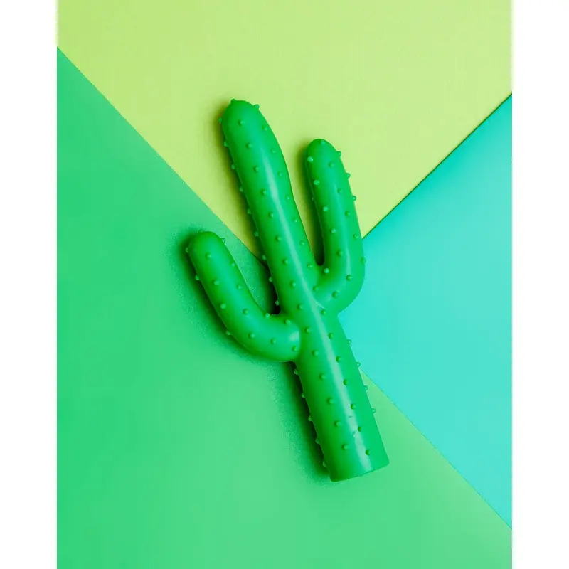 Silly Succulent Cactus Rubber Dog Toy