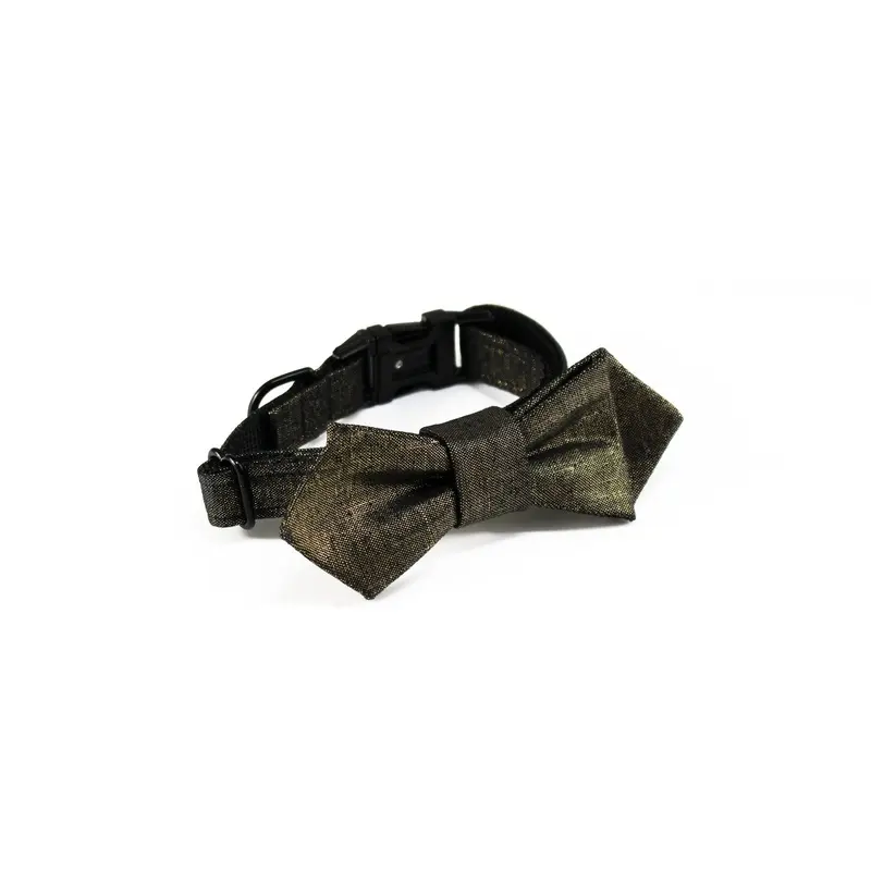 TRAX TIES | The Ziggy Contemporary Bow Tie