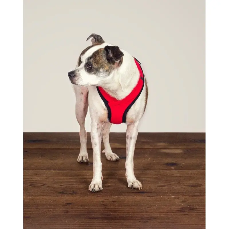 Laguna Dog Harness in Red