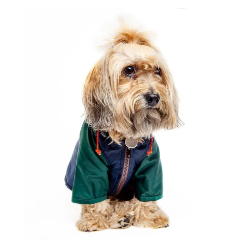 Nylon Colorblock Dog Rainbreaker in Hunter Green & Navy (Exclusive to DOG & CO.)