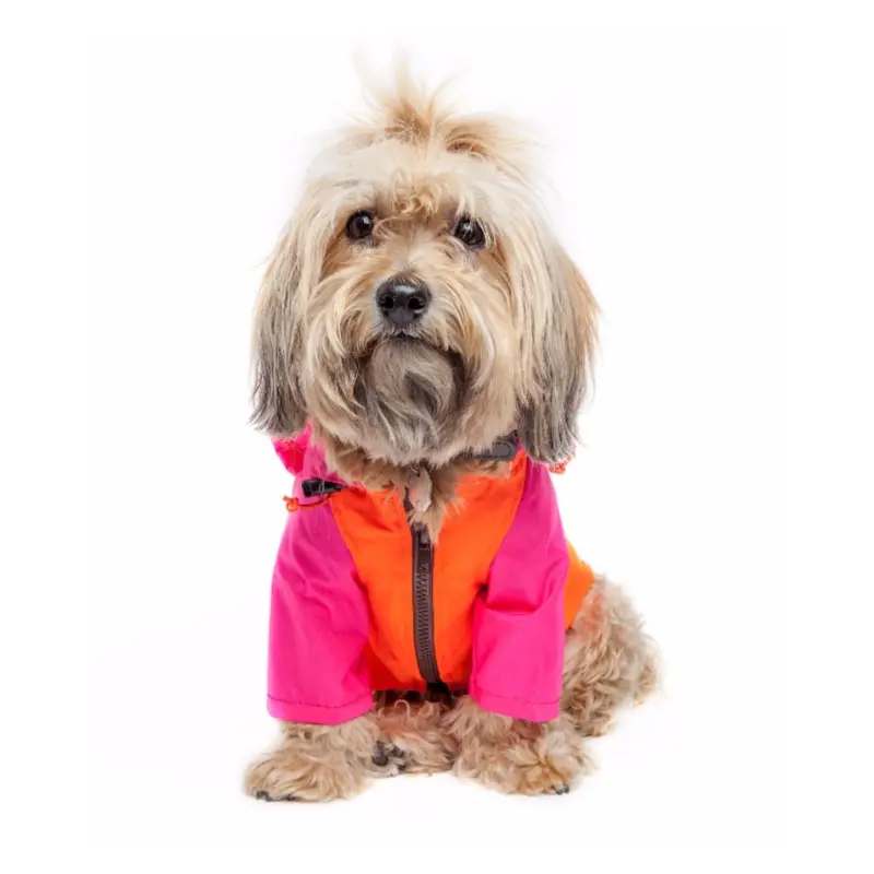 Nylon Colorblock Dog Rainbreaker in Neon Pink + Orange (Exclusive to DOG & CO.)