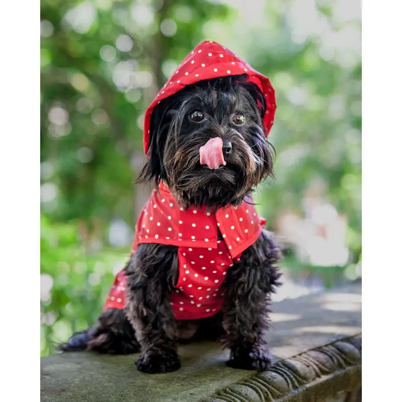 Polka Dot Anorak Dog Raincoat in Red << FINAL SALE >>