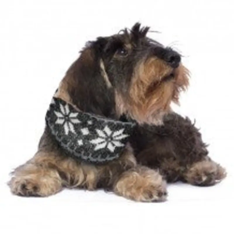 ALQO WASI | Nordic Infinity Scarf (BIG DOG SALE)
