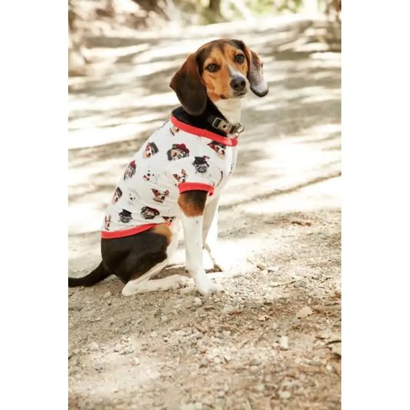 BEDHEAD | Lounge Dog T in Dignified Dog