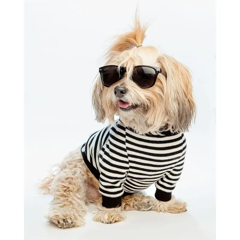 Cheeky Stripe Pullover in Black & White with Black Trim